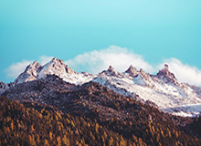 2026世界杯手机观看-【欧洲杯】巴雷拉因西涅破门 意大利2比1淘汰比利时